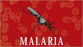 Malaria [upl. by Rogers802]