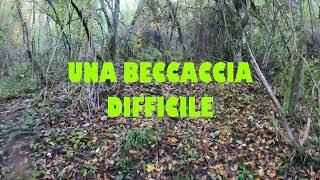 UNA BECCACCIA DIFFICILE [upl. by Nadabas]