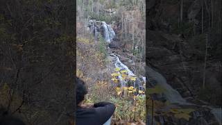 White Waterfalls waterfall NC usa nature shorts comments [upl. by Enyawd774]