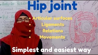 Hip joint Articular surfaces ligaments relations  movements  nerve and blood supply lower limb [upl. by Aiek]