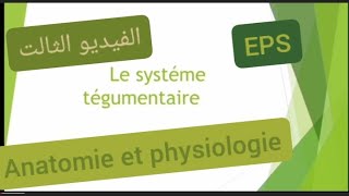 Anatomie et physiologie  le systéme tégumentaire EPS تحضير لمباراة التعليم تخصص تربية بدنية [upl. by Sharona]