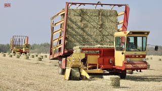 HARVESTING HAY BALES [upl. by Rieth]