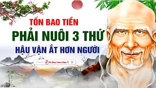 DÃ™ Tá»N BAO NHIÃŠU TIá»€N CÅ¨NG PHáº¢I NUÃ”I DÆ¯á» NG 3 THá»¨ QUÃ HÆ N VÃ€NG  Háº¬U Váº¬N áº®T SÆ¯á»šNG  TÆ° Duy LÃ m GiÃ u [upl. by Thorncombe]