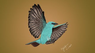 Verditer flycatcher digital Painting Speed Art [upl. by Fachanan100]