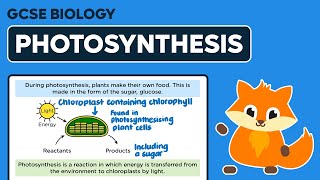 Photosynthesis  GCSE Biology [upl. by Tadich64]