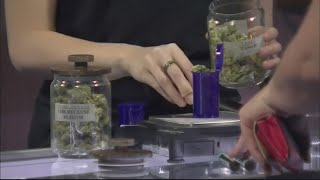 Ohio recreational marijuana sales top 11 million in less than a week [upl. by Alverta475]