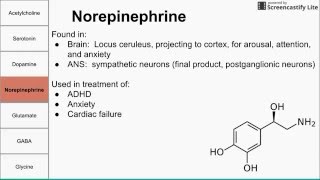 Neurotransmitters of the human body [upl. by Tjaden]