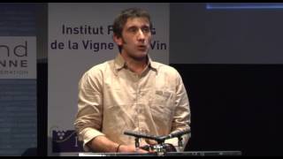 Amélioration des performances des vignobles non irrigués  JC PAYAN IFV [upl. by Aurthur]