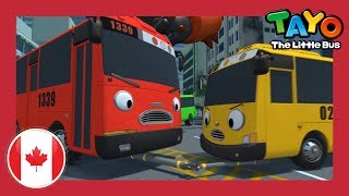 🇨🇦Most watched episodes from Canada  Season 4 Compilation l Tayo the Little Bus [upl. by Zetrok]