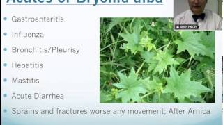 Bryonia Alba Homeopathic Medicine Tips For Beginners [upl. by Fania644]