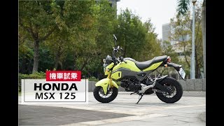 2017 HONDA MSX 125  試乘 Test Ride [upl. by Avraham445]