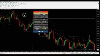 X BRAIN INDICATORCORRELATED PAIRS STRATEGY [upl. by Eimarrej80]
