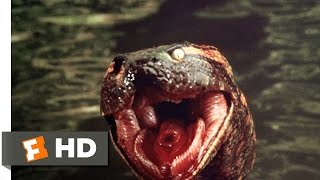 Anaconda 78 Movie CLIP  Anaconda at the Waterfall 1997 HD [upl. by Neahs]