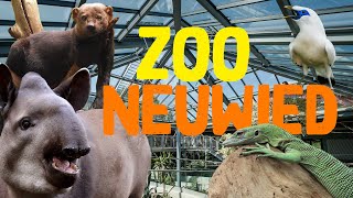 Zoo Neuwied  ZooEindruck [upl. by Shaia]