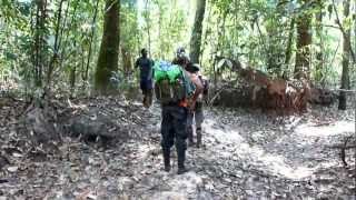 Table mountain expedition Surinam part 33 [upl. by Sybilla]