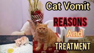 Why Do cats vomit  Causes amp treatment of cat vomiting  KITTYcat Vlogs [upl. by Willamina]