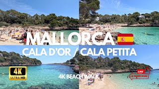 Mallorca 🇪🇸 Amazing Cala Dor  Cala Petita Beach  4K Beach Tour ⛱️😍 [upl. by Kurtis464]