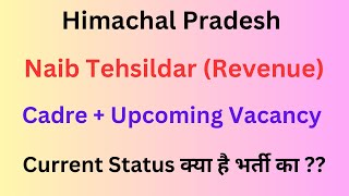 Himachal  Naib Tehsildar Vacancy Update  August 2024  Lets Study [upl. by Kantos]