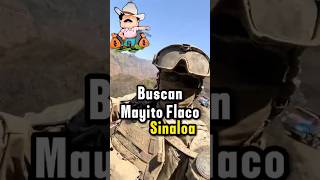 Buscan a mayito flaco en Sinaloa mexico narcosmexico narcos mayitoflaco sinaloa culiacan [upl. by Yenaffit]