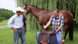 How to do a proper Saddle Fitting for you and your horse [upl. by Rodney]