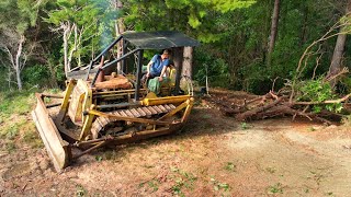 Salvaged Td9 Bulldozer Winching dead trees from the Forest for Firewood [upl. by Harp435]