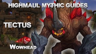 Tectus Mythic Guide by Method [upl. by Maudie]