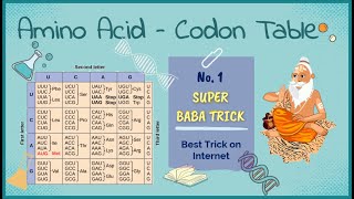 Molecular Biology  Codon Chart for Amino Acids  Class 12 NCERT  Amino Acids  NCERT table 61 [upl. by Lynn525]