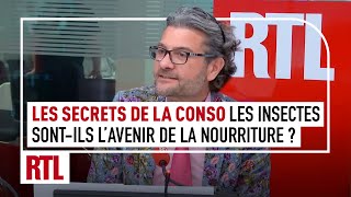 Olivier Dauvers  Les insectes sontils lavenir de la nourriture [upl. by Nnaeirelav]