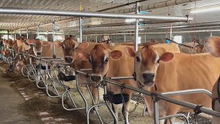 A fivegeneration family farm in Beaver County is on Visit Pennsylvanias ice cream trail [upl. by Hajidak970]