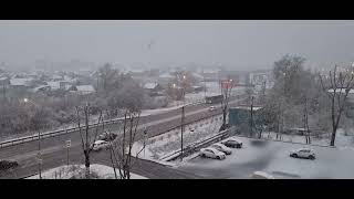 Snow in beginning of may  03052024  Tyumen Russia  Снег в мае  Тюмень Россия [upl. by Anerrol]