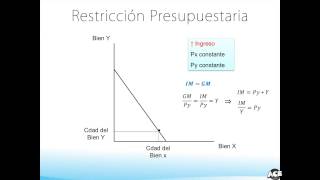 08 Demanda y Conducta del Consumidor [upl. by Oilasor]