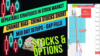 Ripster Secret to Success  Change Bias in Day Trading for consistent Gains with Stocks amp Options [upl. by Nadiya]