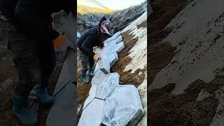 Working day 776 The process of installing hexagonal bricks on a slope [upl. by Healy326]