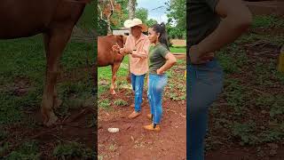 Deu certo fazenda roca vidanaroça sitio nature videoengraçado humor coisasderoca comedia [upl. by Idonah]