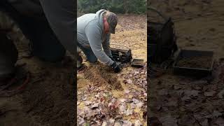 Coyote trapping with trench sets [upl. by Bolanger]