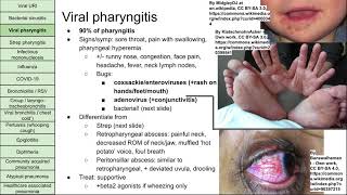 Respiratory infections [upl. by Noyes]