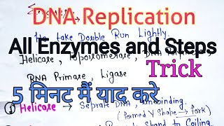 DNA Replication  Enzymes amp Process  TrickMnemonic  5 मिनट मैं याद करे [upl. by Phox]