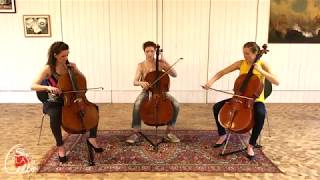 Shape of you  Hallelujah  Creep CELLO TRIO COVER by she plays cello [upl. by Tull452]