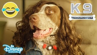 KC Undercover  Theme Song Music Video  K9 Undercover 🐶 Disney Channel UK [upl. by Sualkin]