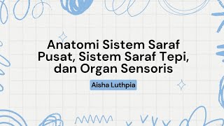 Tugas Anatomi Sistem Saraf Pusat Sistem Saraf Tepi dan Organ Sensoros [upl. by Ahteral747]