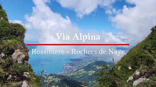 Hiking the Via Alpina19Rossiniere  Rochers de NayeSwitzerland 4k [upl. by Assilen74]