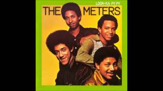 The Meters  quotThe Mobquot [upl. by Aztilem]