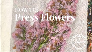 How to Press Flowers in a Book [upl. by Hamer652]