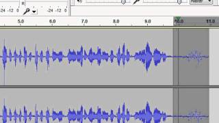 How to Remove Background Noise From Your Screencast Audio [upl. by Atik502]