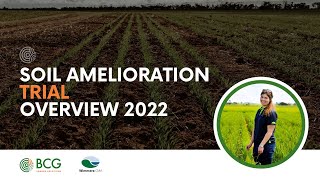 Wimmera CMA Soil Amelioration Trial Overview 2022 [upl. by Ahseek]