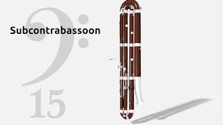 Subcontrabassoon Project [upl. by Justino]