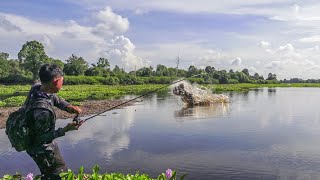 Casting Toman Buas Danau Air Hitam Pedalaman Riau Langsung Dibakar [upl. by Ynaffital]