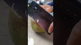 fantastic open green coconut [upl. by Adlen]