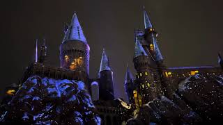 THE MAGIC OF CHRISTMAS AT HOGWARTS’ CASTLE 2024 [upl. by Llemej]