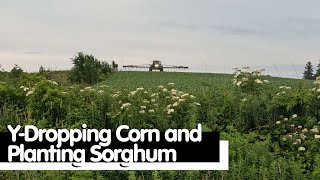 YDropping Corn and Planting Sorghum [upl. by Vivianna]